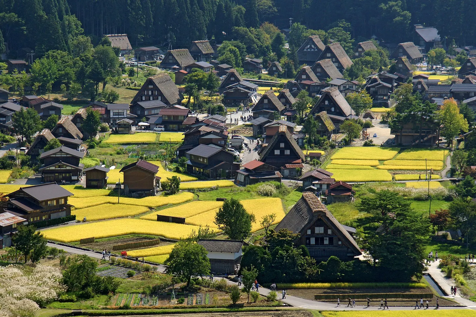 Thatched farmhouses of Shirakawa-go
